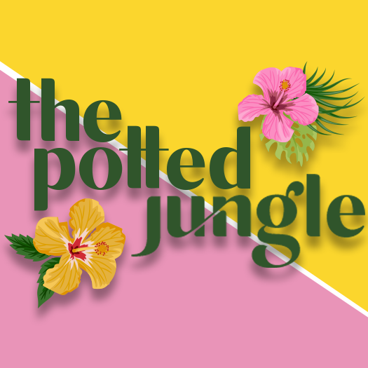 Potted Jungle Logo