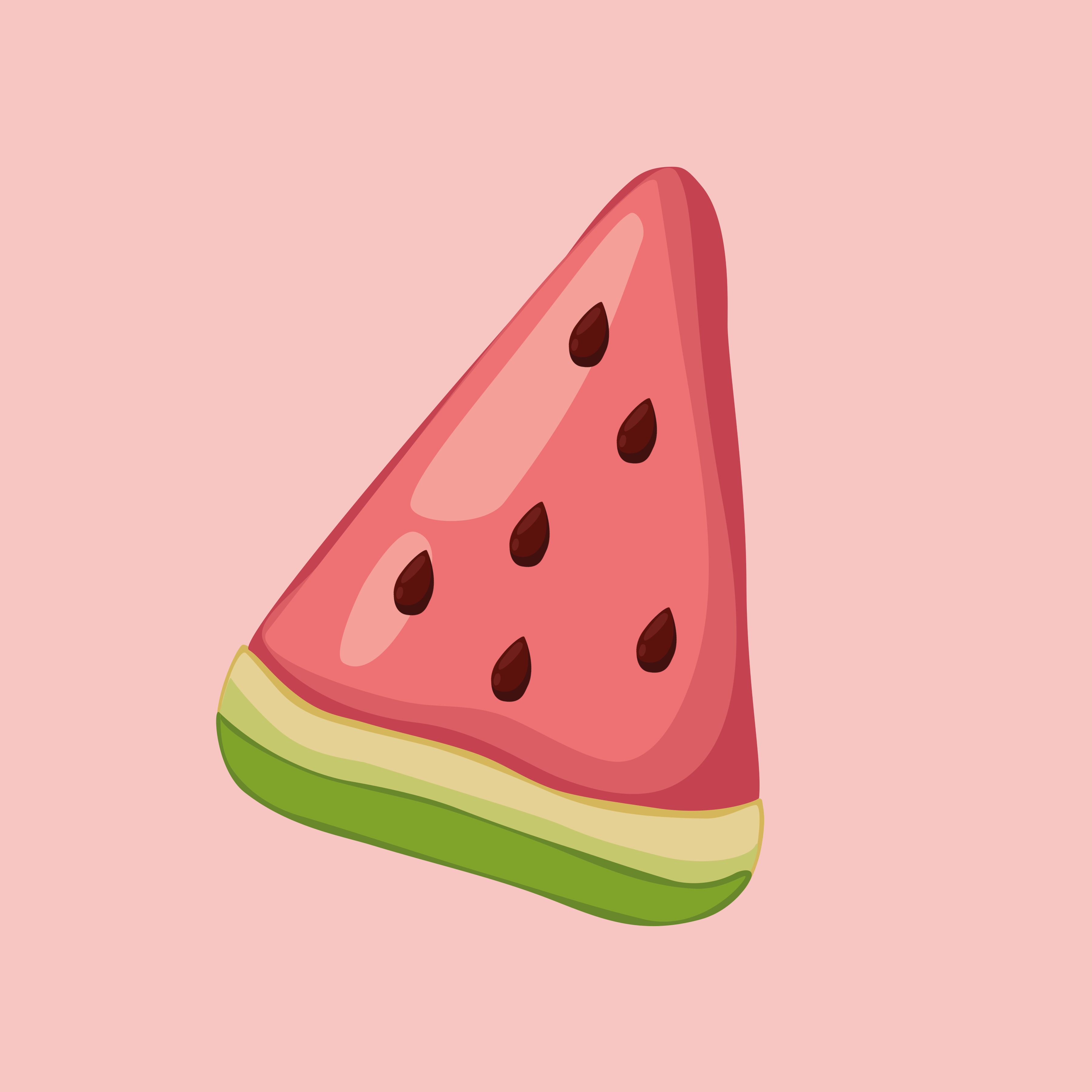 Watermelon Illustration