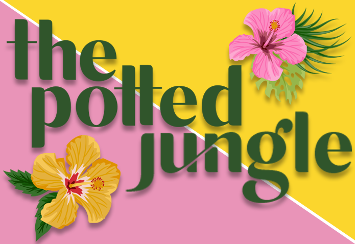 Potted Jungle Logo Design